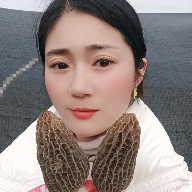 肖丹羊肚菌甄选