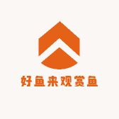 重生之我在河南养金鱼锦鲤