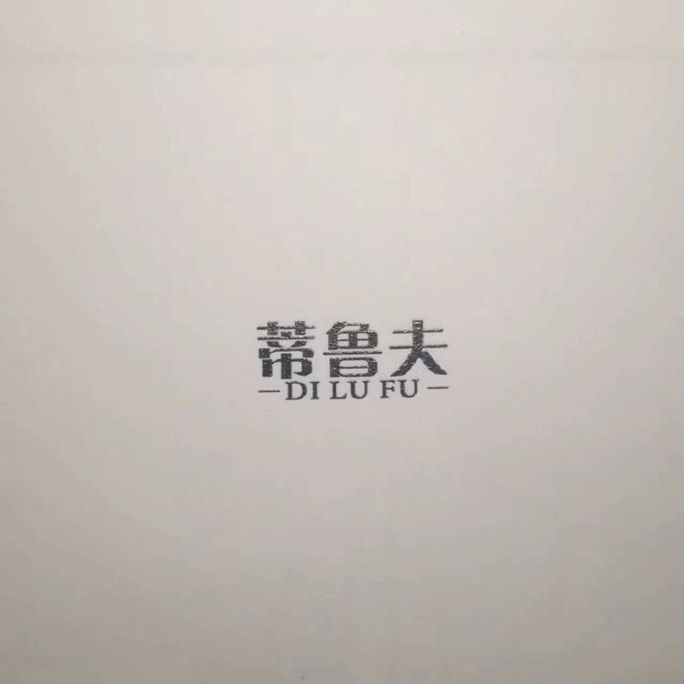 蒂鲁夫汽车用品