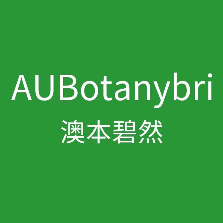 AUBOTANYBRI深圳市林光网络科技有限公司营养膳食专卖店