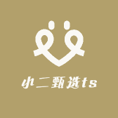 小二甄选ts