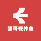 强哥爱养鱼