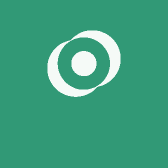 金老汉仙居杨梅