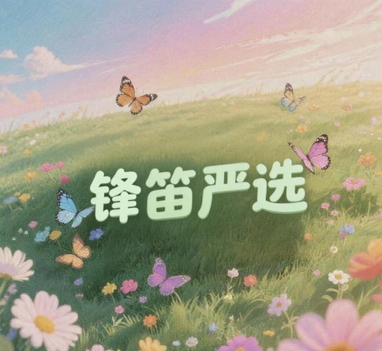 锋笛严选小铺