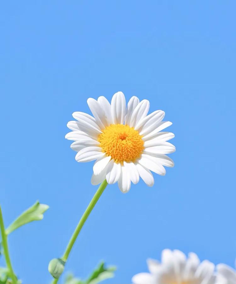 贝朵生活优选