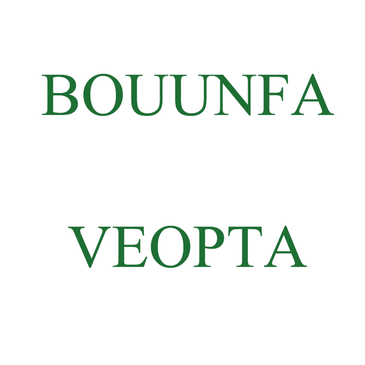 BOUUNFA VEOPTA鑫峻昊女鞋专卖店