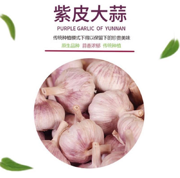 济南白桥大蒜