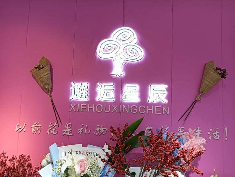 邂逅星辰