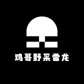 鸡哥野采雷龙