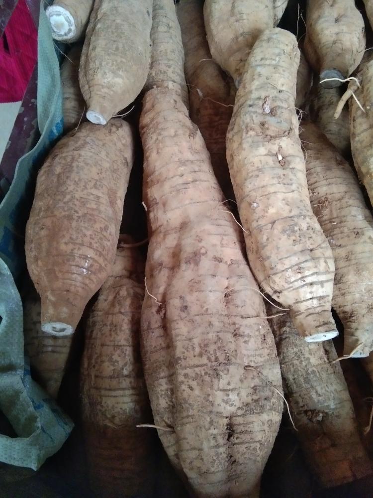 灌阳县文市镇农民大哥土特产店个体店