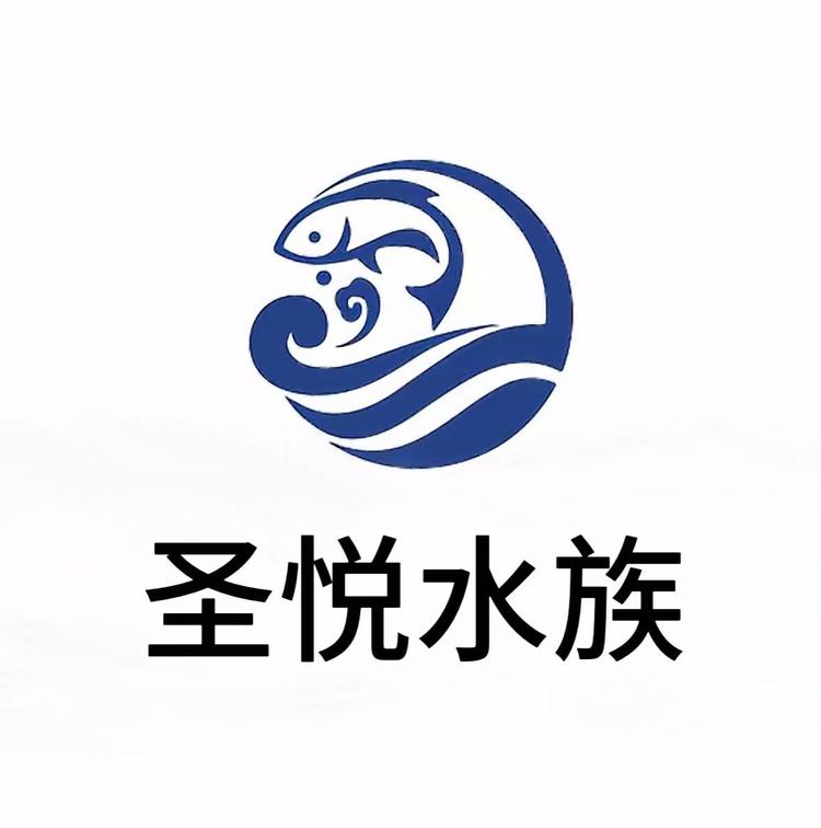 圣悦高端蝴蝶鲤