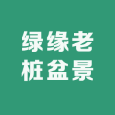 绿缘老桩盆景