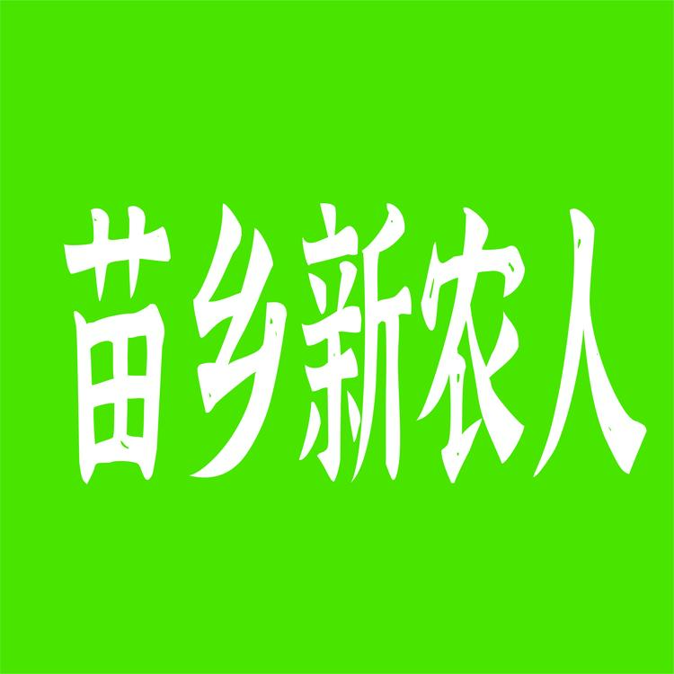 融水苗乡新农人铺子