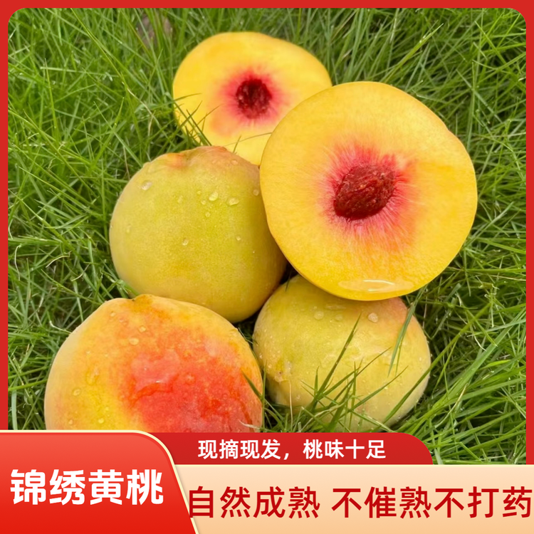表妹家的农场