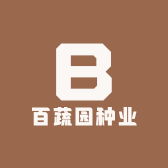 新疆种子供应链