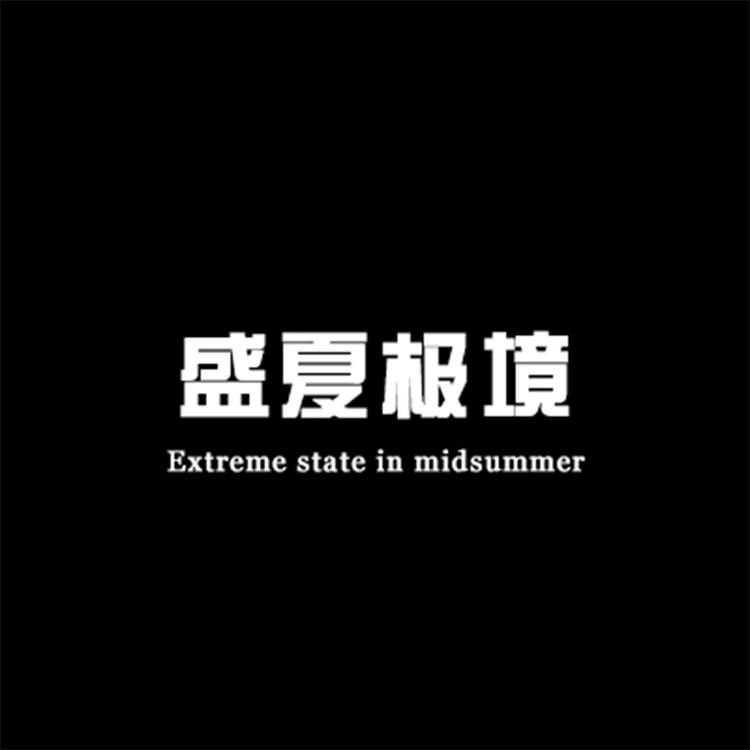 盛夏极境企业店