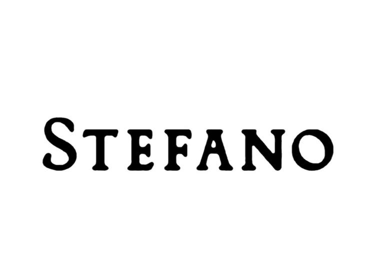 STEFANO PAYNE商务男装专卖店