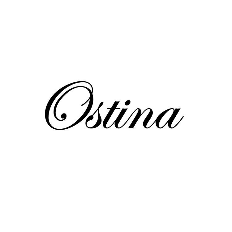 Ostina海外旗舰店