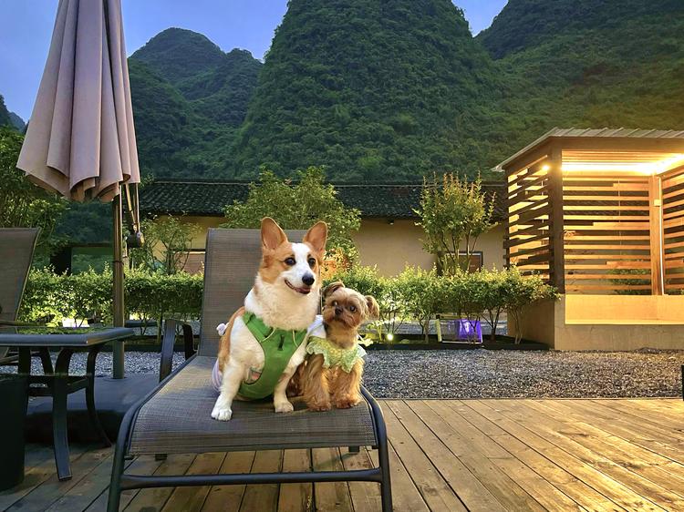 来杯冰可乐DIY个体店