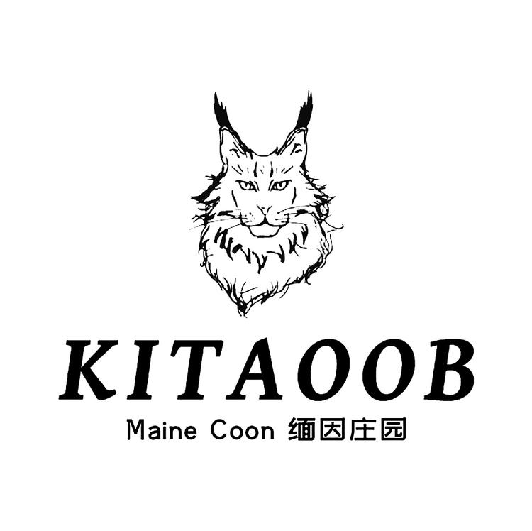 希塔傲比缅因猫