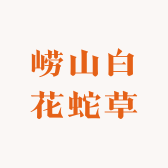 崂山白花蛇草水