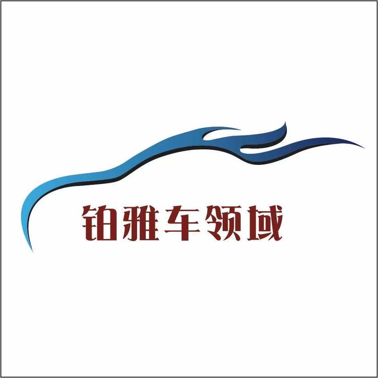 沈阳市铁西区铂雅车领域汽车养护中心的小店个体店