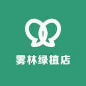 雾林绿植店