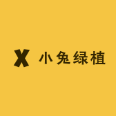 小兔绿植