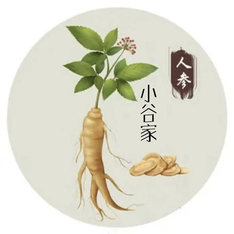 长白山小谷家人参