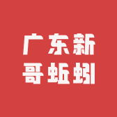 广东新哥蚯蚓