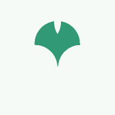 Au极光穿戴甲