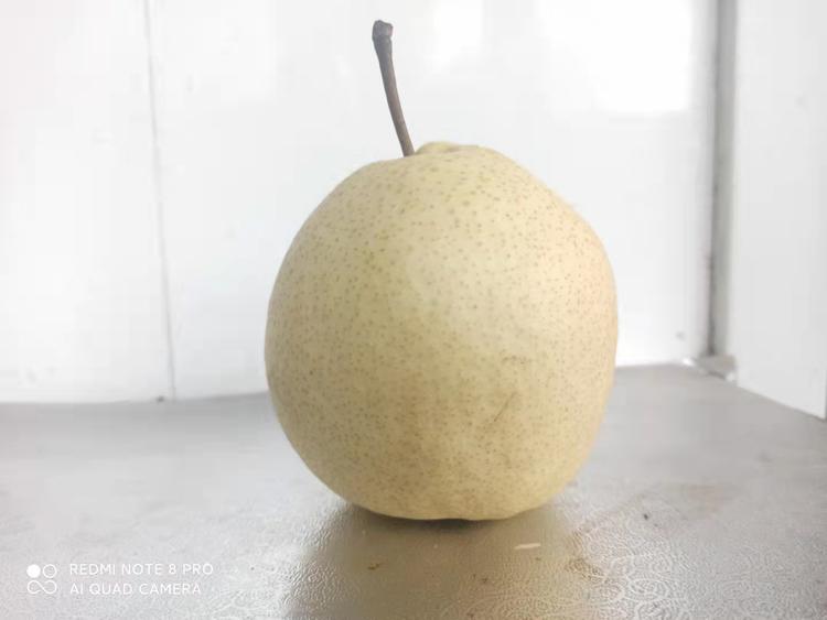 勇恒果业