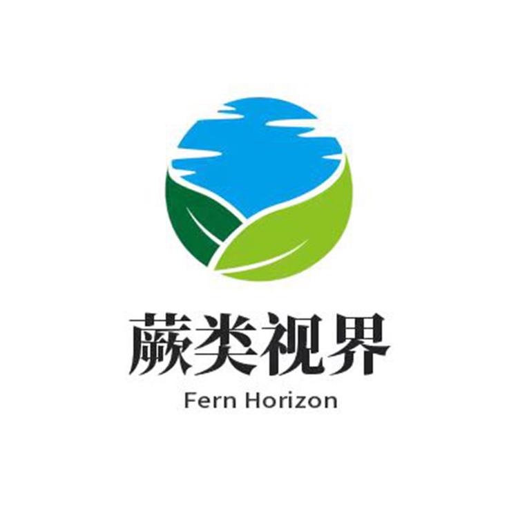 蕨类世界
