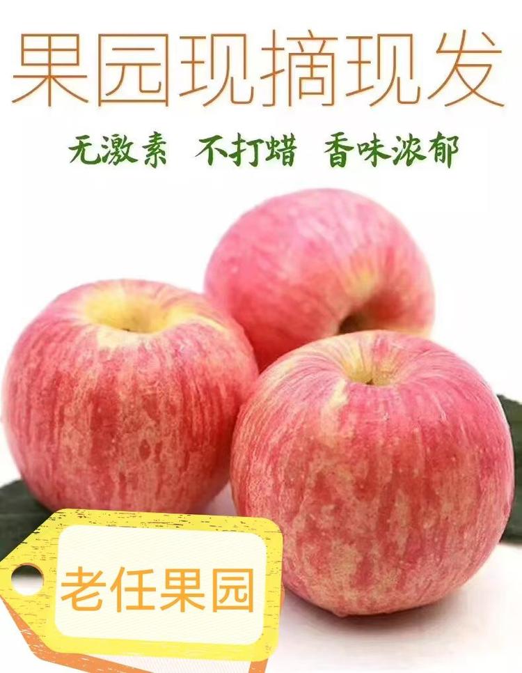 老任果园