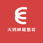 天鸿种猪繁育