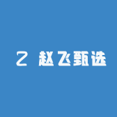 ZF店