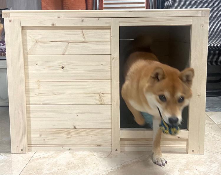 实木猫狗窝