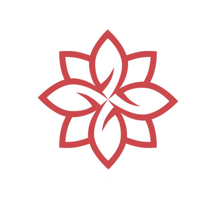 顾南风甄选