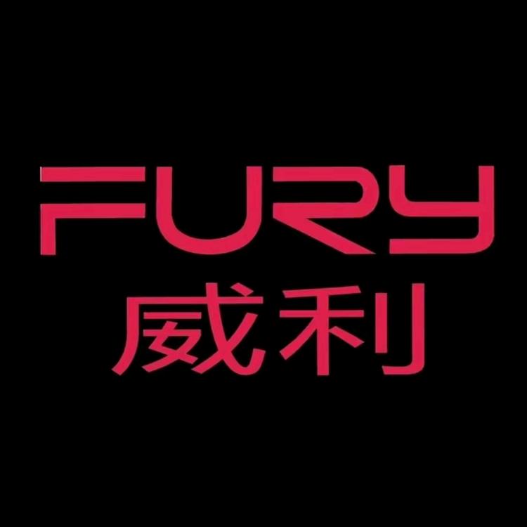 FURY威利球杆用品
