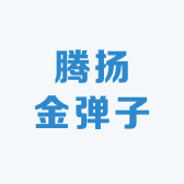 腾扬金弹子