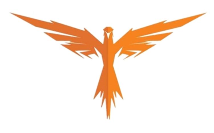 天籽企业店