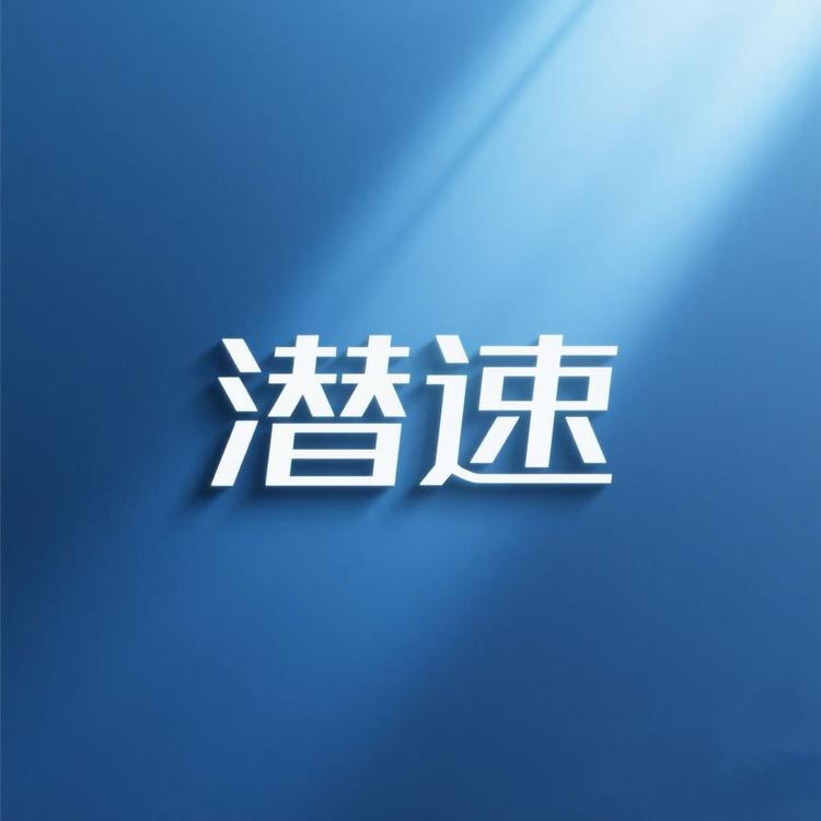 潜速少禹汽车用品专卖店