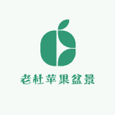 老杜苹果盆景