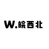 皖西北阜阳人