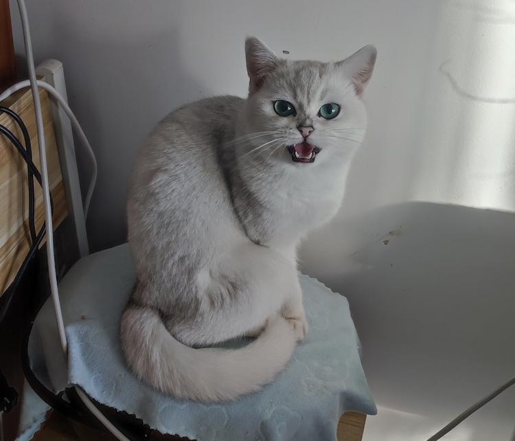 憨憨陪你看世界