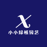 小小绿植园艺