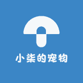 小柒的宠物