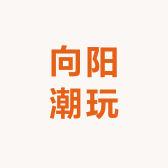 向阳的潮玩小铺子