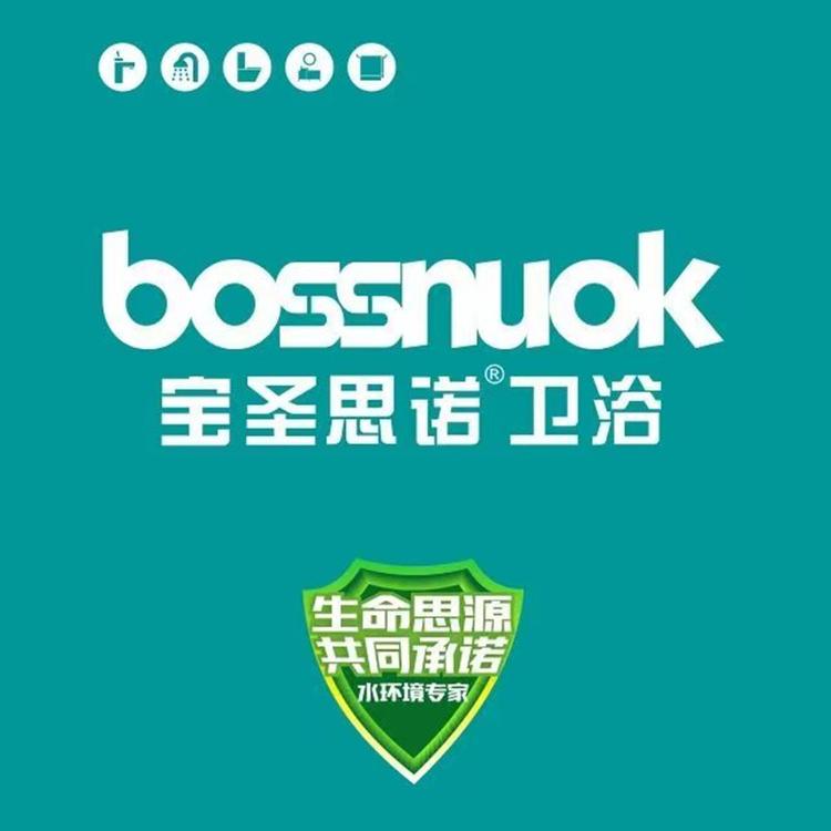 宝圣思诺