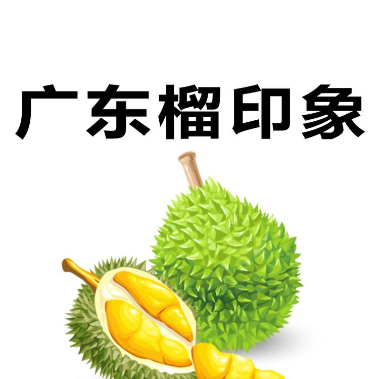广东榴印象企业店